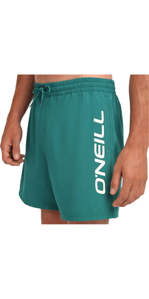 2026 O'Neill Mens O'Neill Logo 16'' Swimshorts 2800256 - Botanical Heat